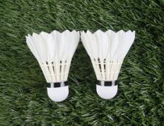 乐鱼体育app-丹麦羽毛球队横扫中国羽毛球队，林丹送出助攻