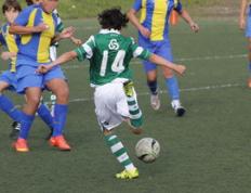 乐鱼官网-瑞典碾压罗马，C罗绝境逆转——足球场上的无畏英雄